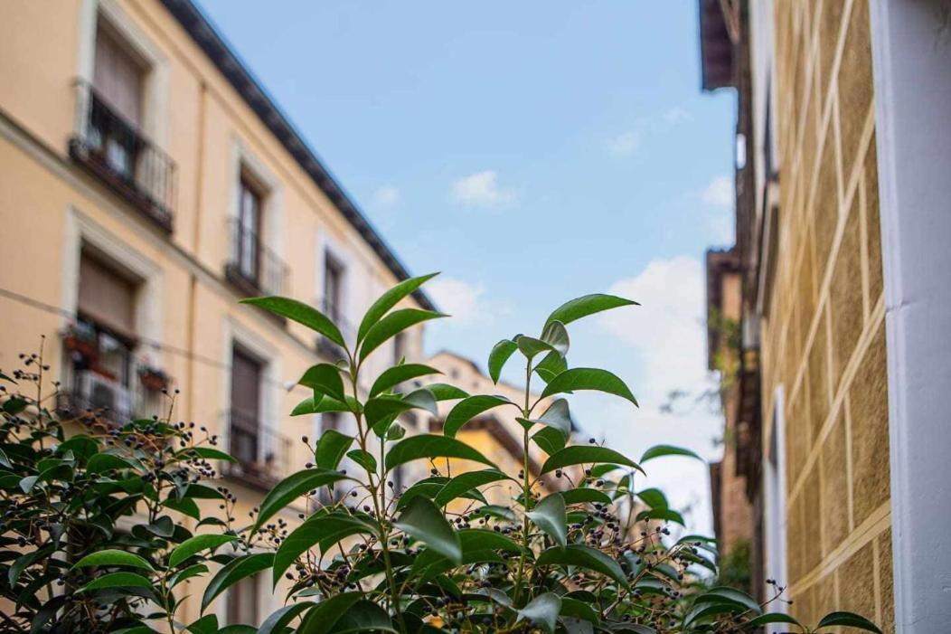 Calle Huertas Corazon By Regalatemadrid Exterior photo